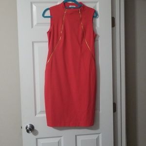 Guava, Calvin Klein dress